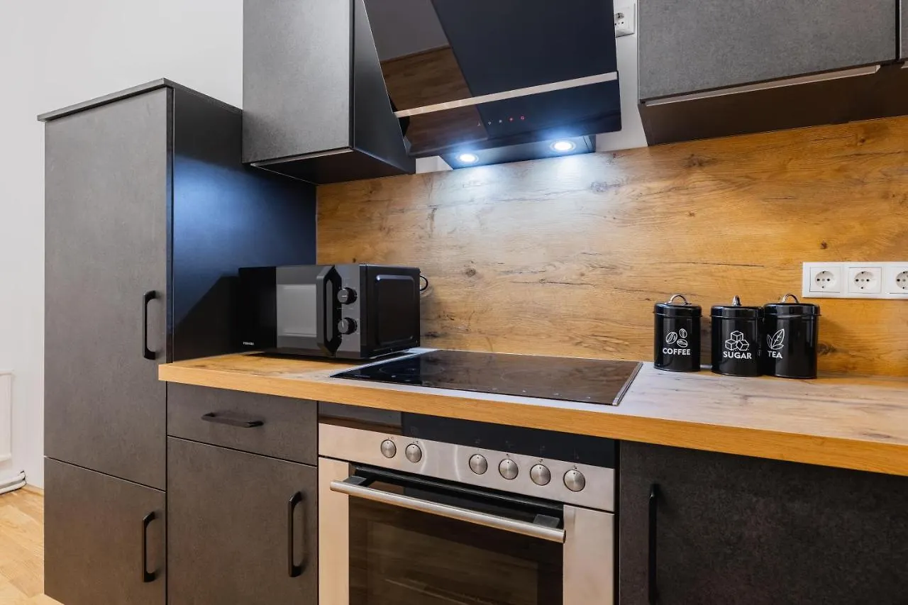 120 M2 4-Rooms Apartment In A City Center Vienna Austria